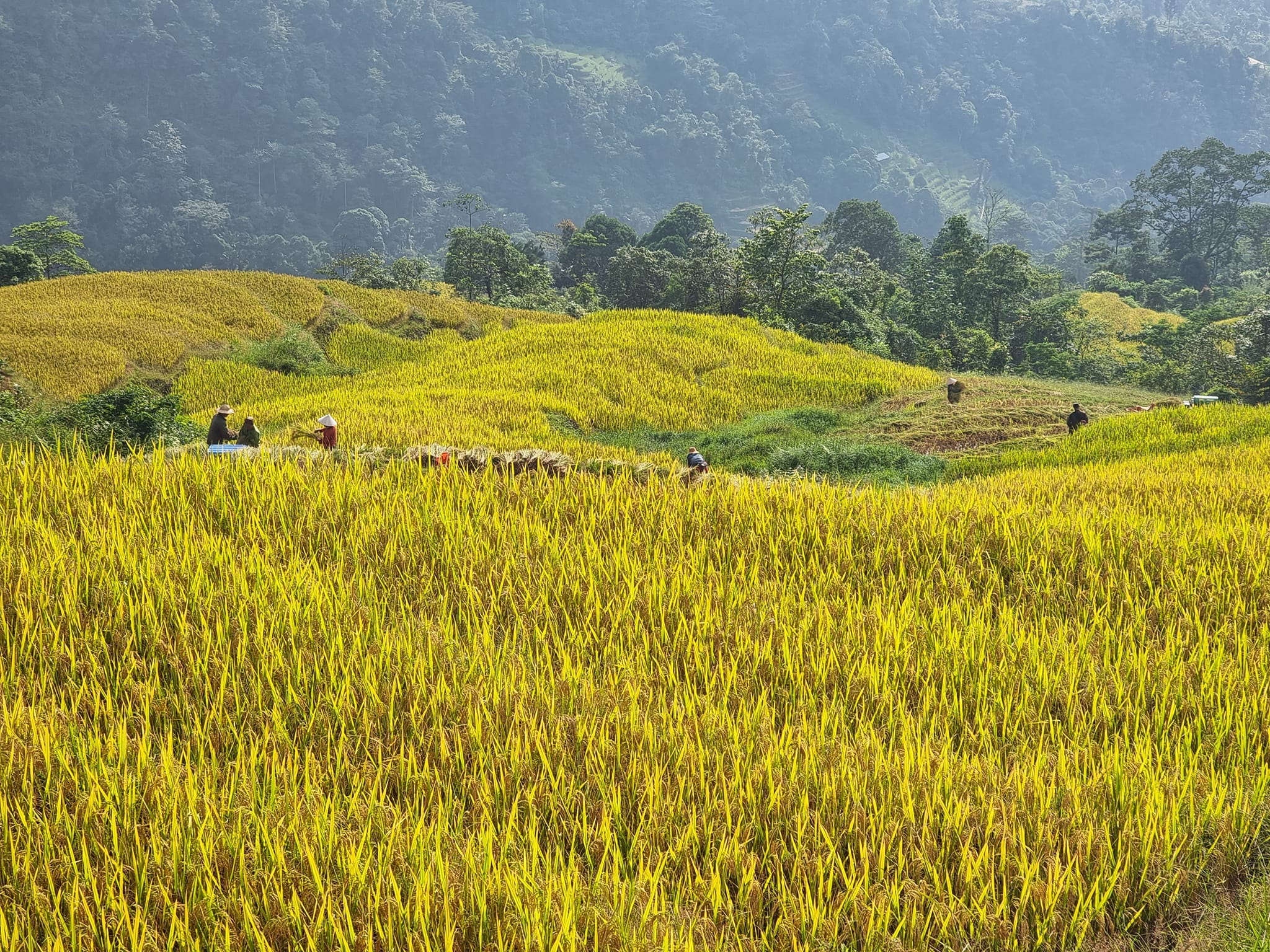 HA GIANG LOOP (4 Days & 3 Nights) by car - With bus