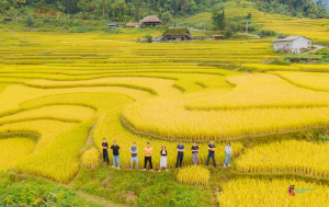 HA GIANG LOOP (4 Days & 3 Nights) by car - With bus