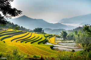 HA GIANG LOOP (3 Days & 2 Nights) by car - With bus
