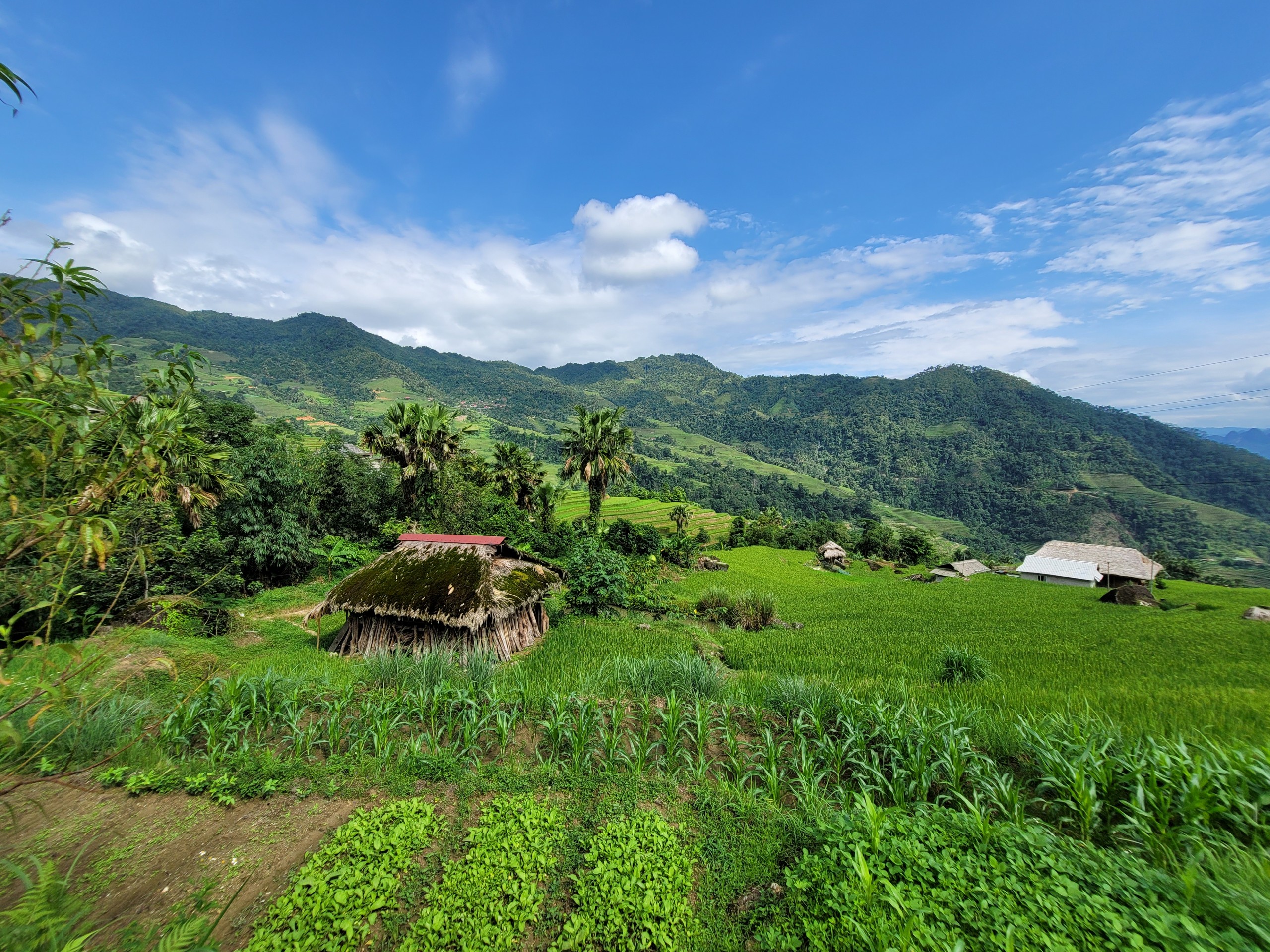 HA GIANG LOOP (3 Days & 2 Nights) by motorbike - With bus - GROUP